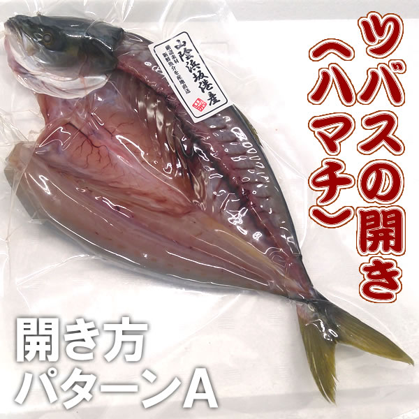 ツバス（ハマチ）開き（冷凍）　１枚　約250-299ｇ程度　【浜坂産】