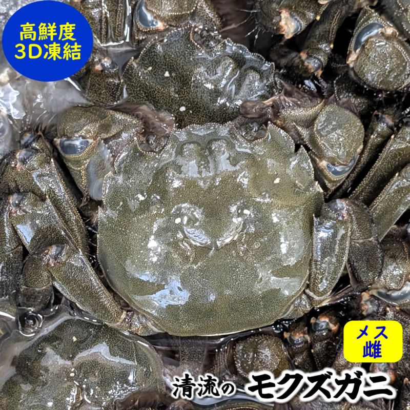 天然モクズガニ【生冷凍】メス 雌　5匹（約550-600ｇ）【国産（兵庫県産）】（ツガニ、ケガニ、カワガニ、ヤマタロウガニ、もくずがに、川がに）