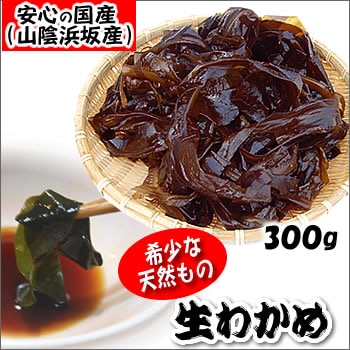 天然生わかめ（若布・ワカメ）【冷凍】　約300g　 【浜坂産（国産）】　天然わかめは市場に流通しているわかめの5～7％程度　（おさしみわかめ）