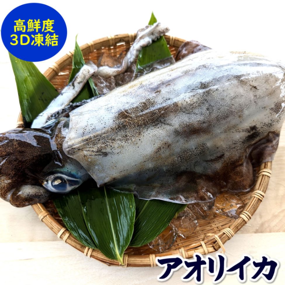 Amazon.co.jp: お刺身用 アオリイカ 5-7枚入 約1kg 烏賊 いか