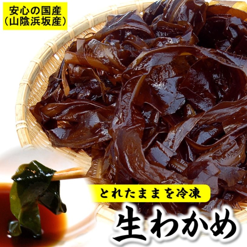 漁師の中村さんが育てた生わかめ（若布・ワカメ）【冷凍】約300g 【浜坂産（国産）】柔らかくて美味しいわかめです TBSラビット番組内でご紹介いただきました！（おさしみわかめ）