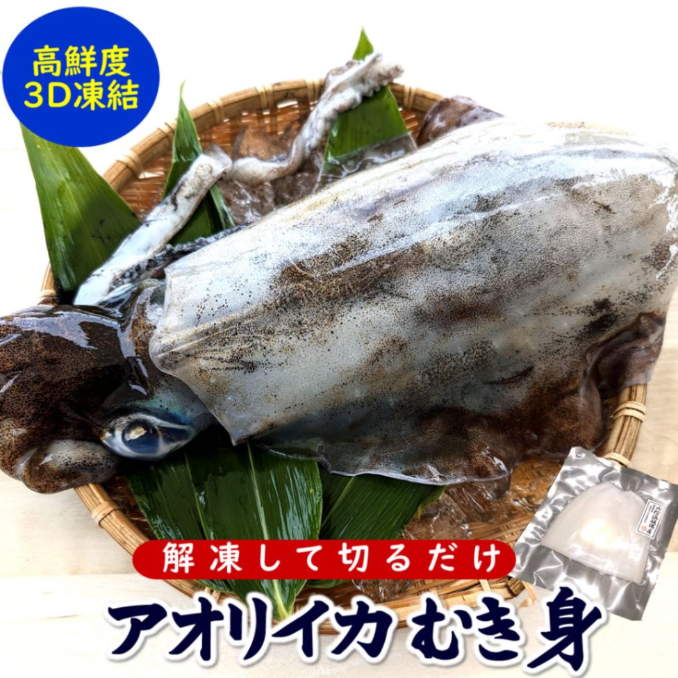 アオリイカむき身（冷凍）　約200-219ｇ程度　【兵庫県浜坂産】　※真空パック