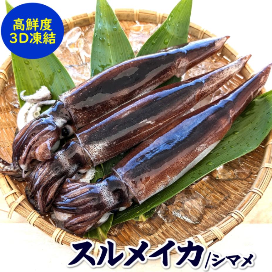 するめいか（生冷凍） 大 １杯 約300-399ｇ　レアサイズ　 山陰浜坂産　個包装　塩辛作るならおすすめなサイズ感