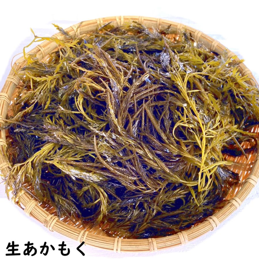 とれたままを冷凍　生アカモク（冷凍）約200g 【山陰沖産（国産）】今注目のスーパーフード　とれたてのアカモクを急速冷凍しました。湯通ししてません。（あかもく、ギバサ、ぎばさ、ぎばそ、原藻）オメガ3脂肪酸含有食品