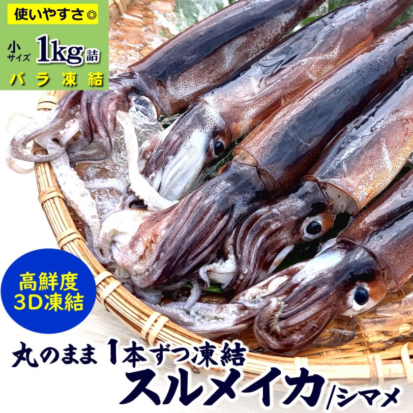 （送料無料）するめいか（冷凍）家庭用　小　1ｋｇ(8-11杯程度入)　国産（山陰浜坂産）小サイズが不揃いのためお安くしています。（シマメイカ、しまめいか、スルメイカ）IQ　バラ凍結