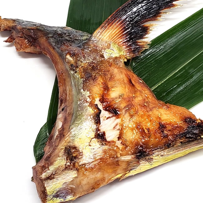 旬シイラのアラ（カマと頭頂部肉）（冷凍）500ｇ（山陰浜坂産）脂がのったシイラ使用。（カマトロ はちのみ 鉢の身 頭肉）