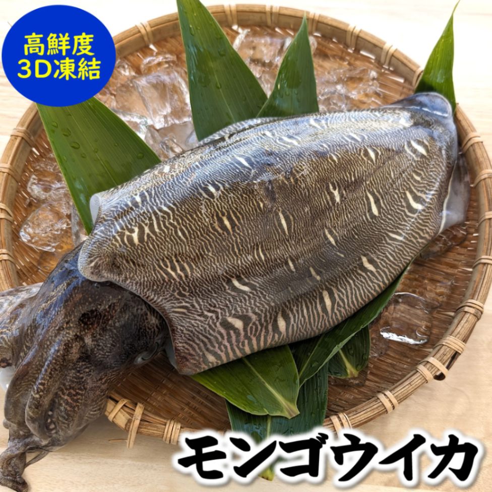 モンゴウイカ（カミナリイカ）【生冷凍】　1杯入　約700-790ｇ（胴長さ目安：約20cm前後）　【兵庫県浜坂産】　個包装　（紋甲いか・もんごういか・かみなりいか）