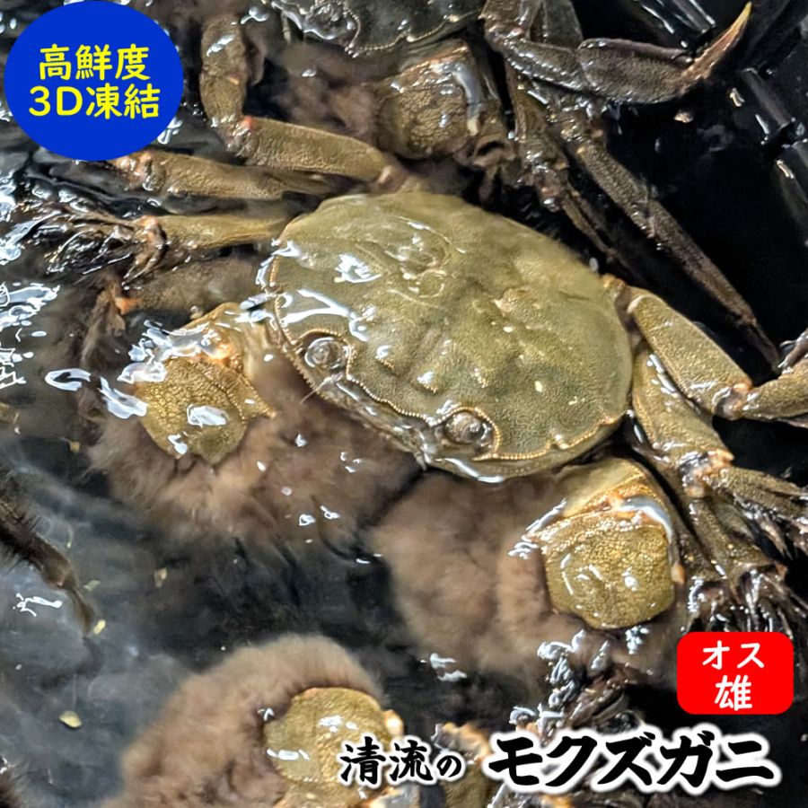 天然モクズガニ【生冷凍】オス　特大　１匹（300-350ｇ程度）【国産（兵庫県産）】（高鮮度3D凍結）（ツガニ、ケガニ、カワガニ、ヤマタロウガニ、もくずがに、川がに）