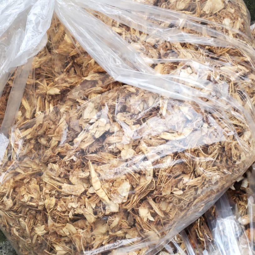 （送料無料）国内産　えび殻　3ｋｇ入　肥料用として　土壌改善　放線菌を増やしたい方に（エビ殻　農業　肥料）SDGs