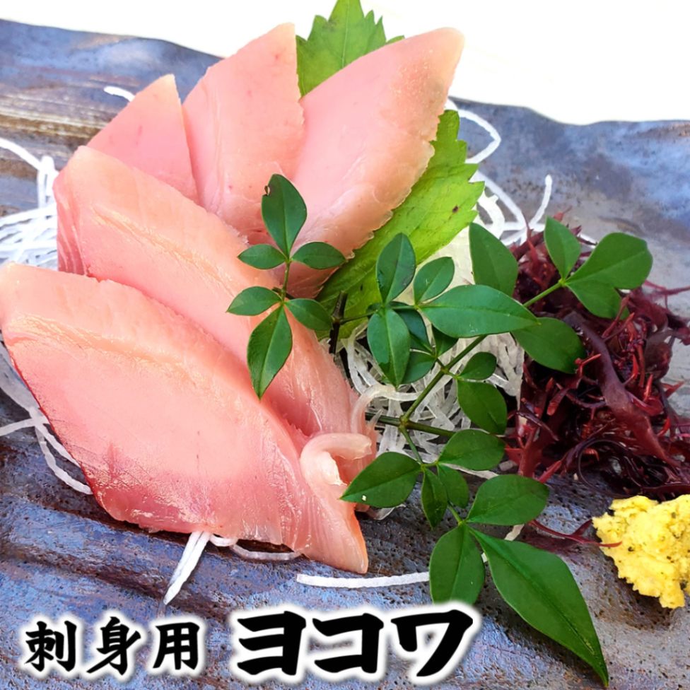 刺身用　ヨコワ（本マグロの子）柵（冷凍）５キロ台の片身分（1.2ｋｇ以上）（兵庫浜坂産）【高鮮度3D凍結】（よこわ・まぐろ・鮪・刺身・よこわ・フィレ）