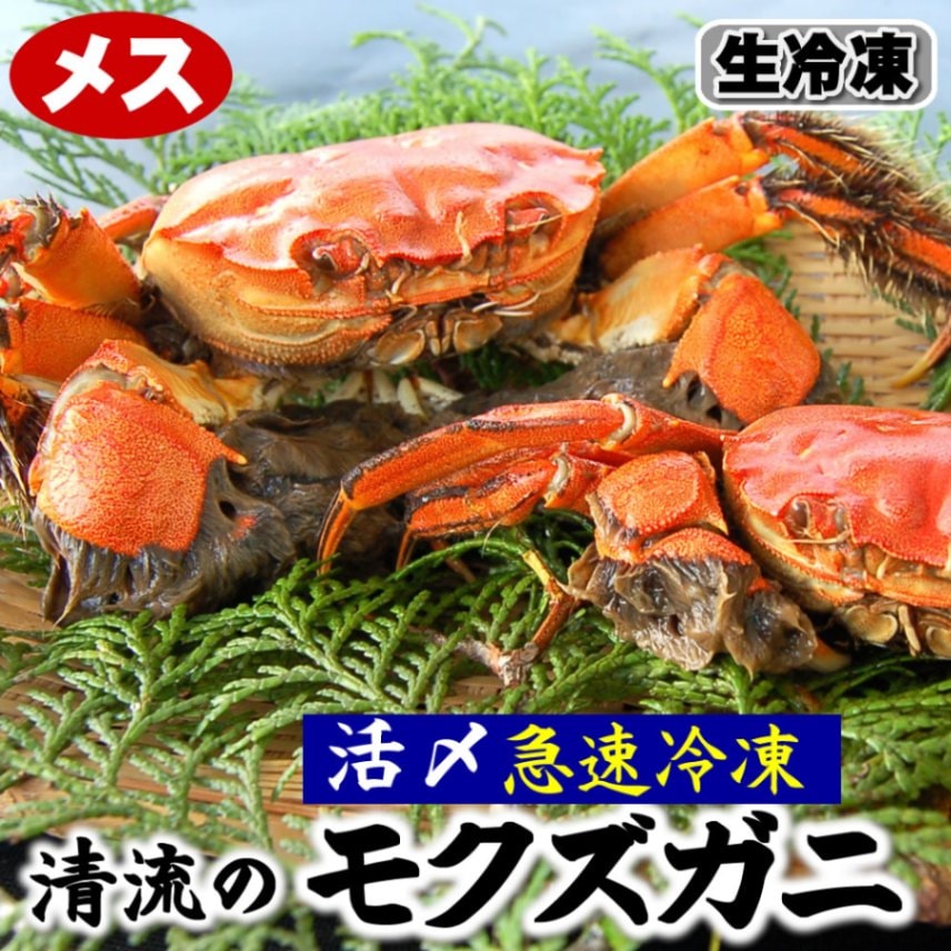 天然モクズガニ【生冷凍】メス　1匹　約160-179ｇ程度【国産（兵庫県産）】（ツガニ、ケガニ、カワガニ、ヤマタロウガニ、もくずがに、川がに）