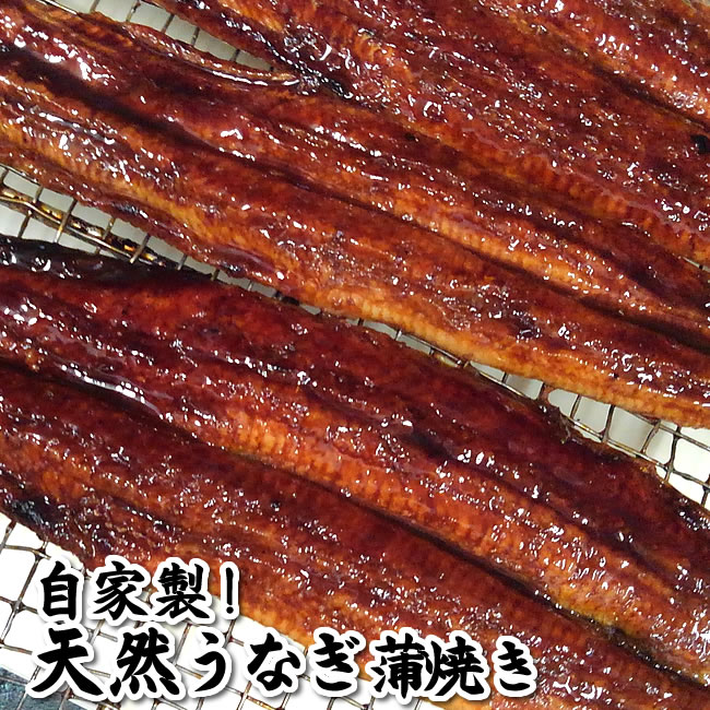 自家製！天然うなぎ蒲焼き（冷凍）特大　1匹　340ｇ以上【兵庫県産】タレ付　希少めったにない大きさ（鰻、ウナギ、かばやき）