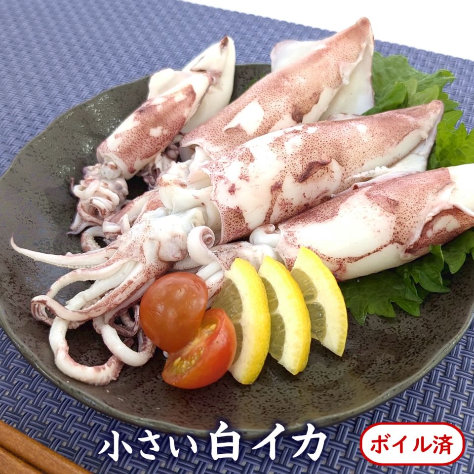 不揃い小さい白イカ（塩茹で済・冷凍）150ｇ（兵庫県産）柔らかくて美味しい　バーベキューにも大活躍（ボイル 訳あり 白烏賊 白いか 烏賊 やりいか ヤリイカ ケンサキ けんさき 小イカ 子イカ）