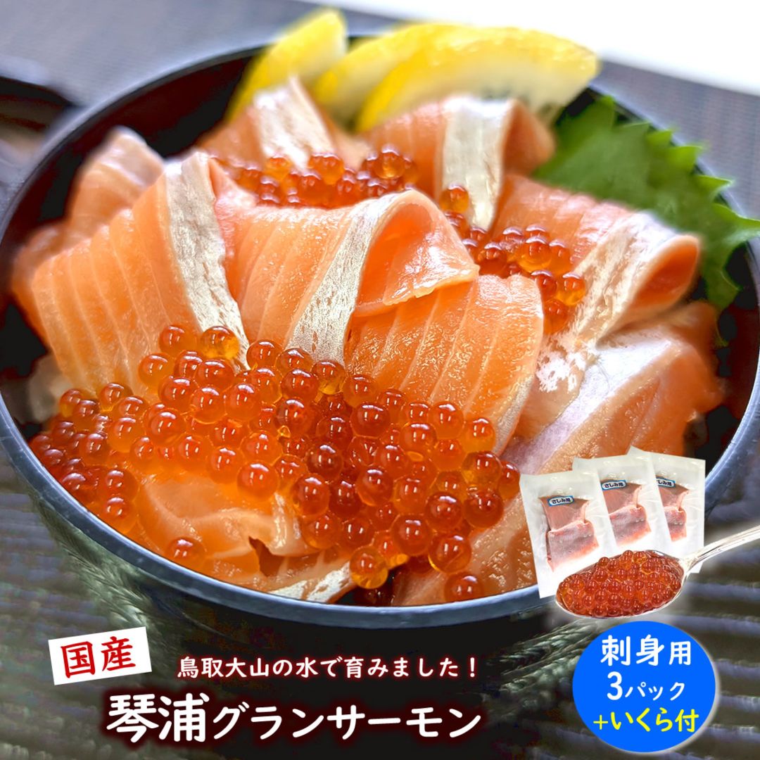 とっとり琴浦グランサーモン・お刺身用柵（冷凍）3パックといくら付 高鮮度3D凍結 国産特有のくどくない脂のノリ、無投薬養殖、アニサキス心配不要だから安心して食べられます！