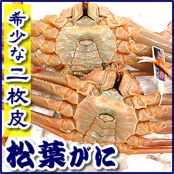（二枚皮）松葉がに（ボイル・冷凍）2枚×500-600ｇ前後　【浜坂産】産地しか手に入らないレアな松葉ガニ　みそが濃厚で美味！希少な脱皮直前の蟹です。