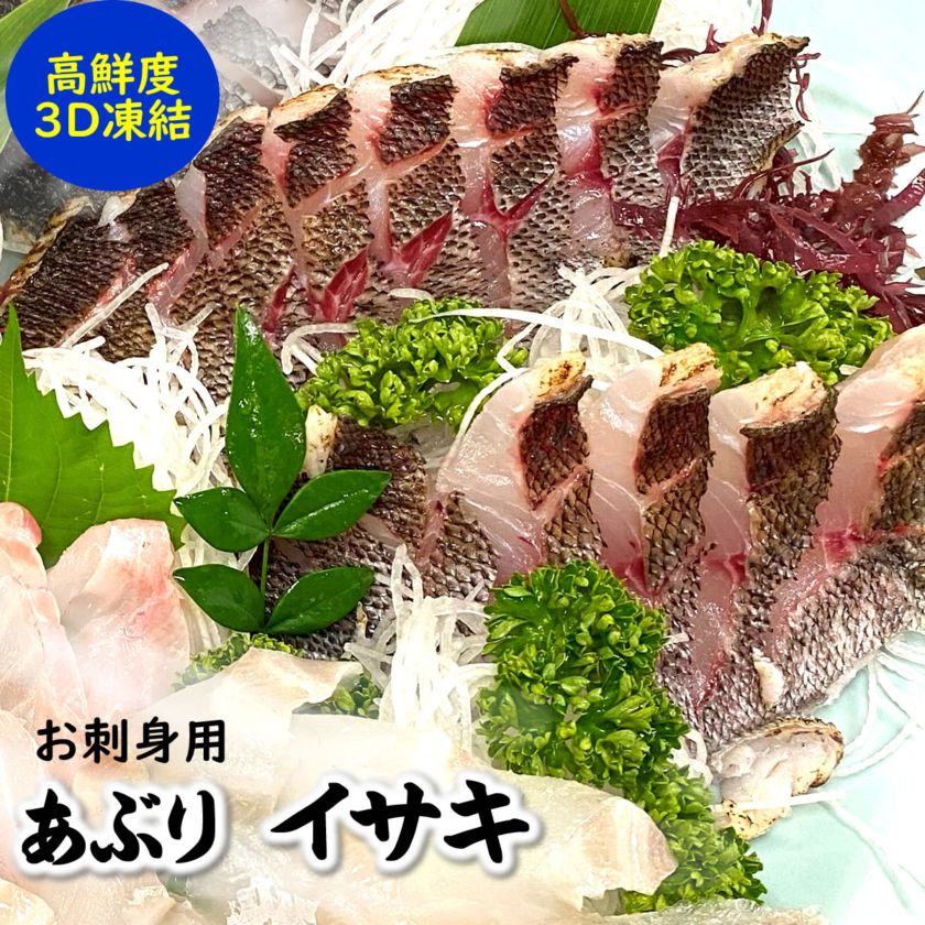 刺身用　炙りイサキたたき（冷凍）片身分（120-150ｇ）【兵庫県浜坂産】旬のイサキを刺身用に捌きました（さしみ、いさき、イサギ、フィレ、タタキ）