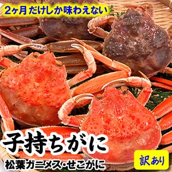≪ご予約≫内子・外子が絶品！【送料無料】とれたて訳あり・子持ちがに(生)　小　6枚入  【浜坂産】【着日指定不可】