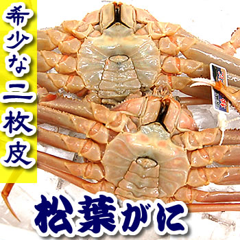 ≪数量限定≫訳あり・松葉がに（二枚皮）【ボイル】2枚×400～500ｇ前後 【浜坂産】脱皮直前の蟹です。