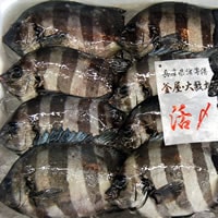 石鯛（冷凍・下処理済み）　1尾　約300-390ｇ（調理前の重さ）　【浜坂産】
