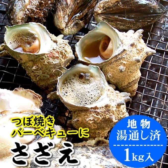 つぼ焼き バーベキュー サザエ 湯通し済 加熱済み 冷凍 約1ｋｇ入 送料無料 加熱済みだから屋外でも安心　1kg 1キロ さざえ、bbq、ボイル済