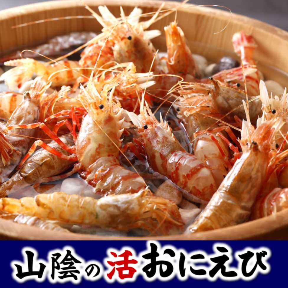 （即日発送）地元でもめったに手に入らない!!活きたまま直送！オニエビ【活生】　約300ｇ　サイズ混ざり【浜坂産】幻の海老!!（おにえび、ゴジラエビ、鬼海老）