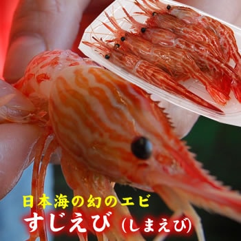 幻のエビ！すじえび（しまえび）【冷凍】（約200ｇ）[お刺身可]≪浜坂産≫年々獲れなくなっておりますので、大変希少なエビです!!（シマエビ・スジエビ）