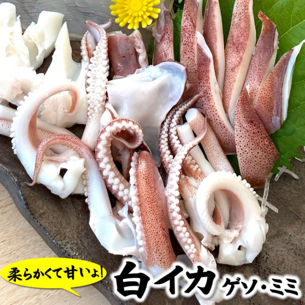 生白イカのゲソ＆耳（冷凍）３パック×約150ｇ入【兵庫県浜坂産】バーベキューに！（白烏賊・白いか・烏賊・やりいか・ヤリイカ・ケンサキ・けんさき）