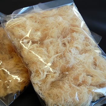 【送料無料】天草　約100ｇ入×１袋【浜坂産】（てんぐさ、ところてん、心太）