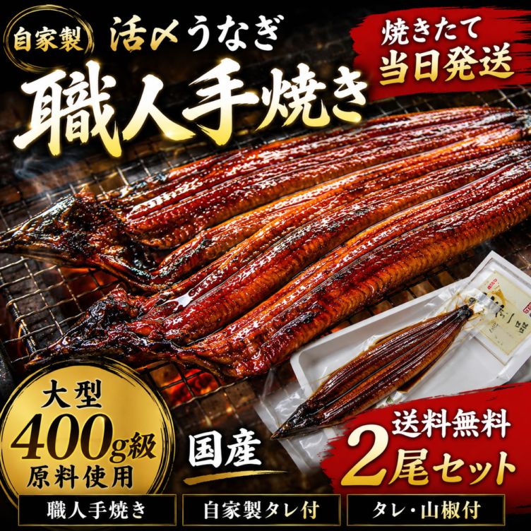 冷凍とは違う！活〆焼きたて【送料無料】自家製【活け】うなぎ 蒲焼き　特大　２尾ｾｯﾄ【国産】職人 手焼き 土用の丑 残暑お見舞い お中元 父の日 ギフト 出荷日限定 冷蔵便 計2匹