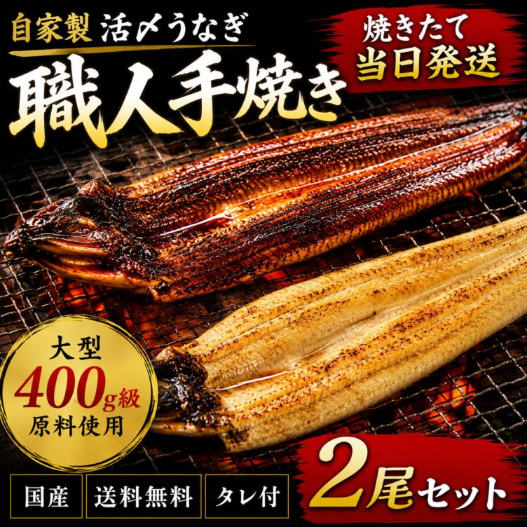 冷凍とは違う！活〆焼きたて【送料無料】自家製【活け】うなぎ蒲焼き&白焼きｾｯﾄ 特大　各1尾ずつ【国産】計2尾 2匹 職人 手焼き 土用の丑 残暑お見舞い お中元 父の日 ギフト 出荷日限定 冷蔵便