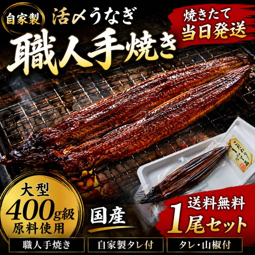 冷凍とは違う！活〆焼きたて【送料無料】自家製【活け】うなぎ 蒲焼き　特大　1尾　【国産】職人 手焼き 土用の丑 残暑お見舞い お中元 父の日 ギフト 出荷日限定 冷蔵便