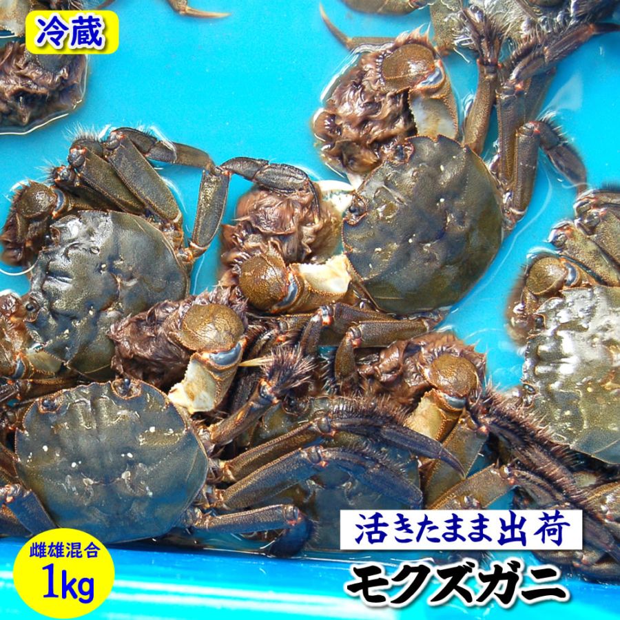 ＼値下げセール中／！天然モクズガニ【活生】オス・メス混ざり　1ｋｇ前後（5-8匹程度）※大小混ざり【国産（兵庫県産）】　（ツガニ、ケガニ、カワガニ、ヤマタロウガニ）
