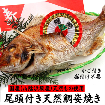 お祝い事に！【送料無料】尾頭付き天然鯛の姿焼き　盛大なお祝いにッグサイズ　1匹【浜坂産】
