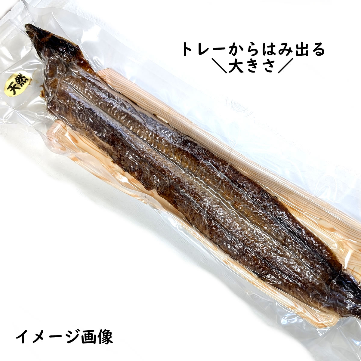 自家製！天然うなぎ蒲焼き（冷凍）特大 1匹 340g以上【兵庫県産】タレ