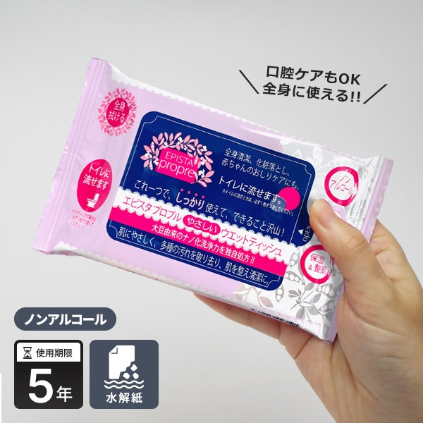 水解紙 防災備蓄用ウェットティッシュ エピスタプロプル ハンディ
