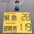 RESCUE REQUEST レスキューリクエスト 難燃加工 不織布 上空 情報伝達 災害時 救助 早期|標識・掲示板・腕章|避難所運営