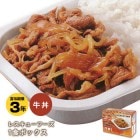 レスキューフーズ１食ボックス『牛丼』（非常食/ホリカフーズ/防災) 【賞味期限2027年9月22日迄】|非常食|非常食・保存水