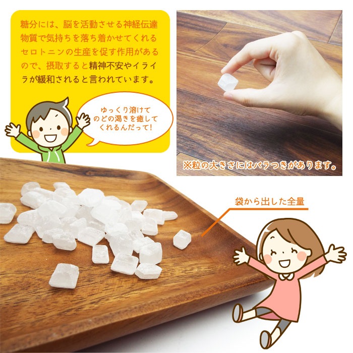 パック入り氷砂糖 100g 【賞味期限2031年2月迄】 非常食 お菓子 さとう 糖分 [M便 1/5]