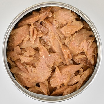 黒潮町缶詰 グルメ缶 カツオdeオリーブ 90g×48缶 ｜ あんしんの殿堂 防災館