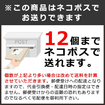日本製袋 非常用飲料水袋 4リットル用×1枚 手提げタイプ 袋式 給水袋 水運搬 水運搬 断水対策 [M便 1/12]