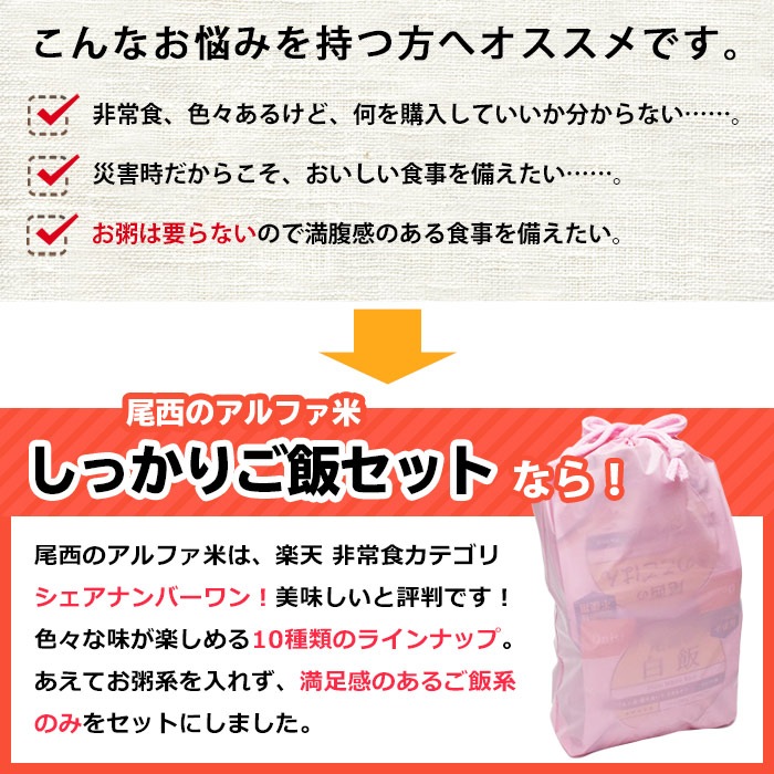 非常食 尾西食品のアルファ米10種『しっかりご飯セット』（アルファー米/ごはん/保存食)　【賞味期限2030年12月迄】