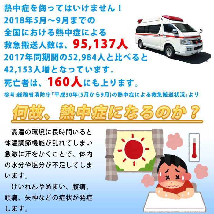 熱中症対策 サラヤ塩分補給キャンディ 匠の塩飴３種アソート750g マスカット味・レモン味・スイカ味 #27860