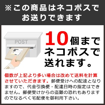 モーリアンヒートパック＜加熱袋×１、発熱剤M(28g)×１回分＞ 使用期限2031年1月迄 [M便 1/10]
