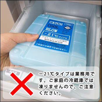 保冷剤 キャッチクール・ブロー（-21℃)極低温品保冷用×20個（ケース販売)（保冷材/熱中症対策/停電対策/ひんやり/冷却効果)