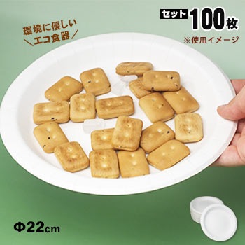 エコ食器プレート(直径22cm)×100枚入 ナチュラルパルプNP-22(紙皿/防災/災害備蓄/炊き出し)