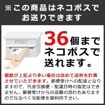 キューマスク Qマスク 人工呼吸 人工呼吸用携帯マスク マウスピース カバー 救急 [M便 1/36]
