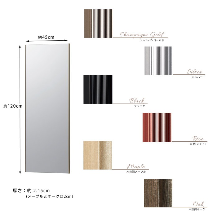 割れない鏡 姿見 リフェクスミラー 吊式姿見 45×120 軽量 フィルム 【送料無料】壁掛け 玄関 リビング クローゼット 子ども部屋 地震 安全 安心 NRM-2 RM-2【メーカー直送】