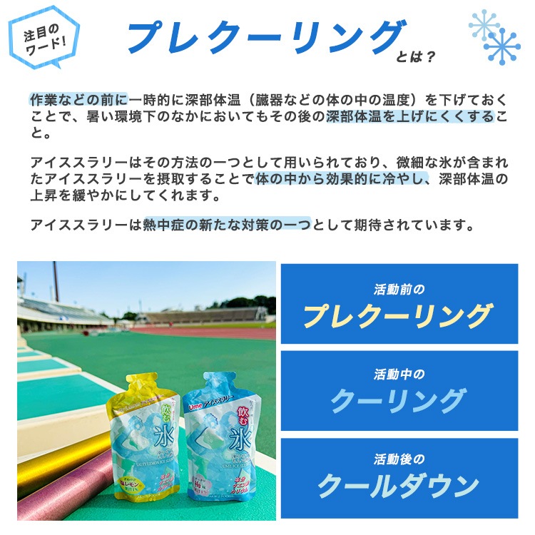 赤城フーズ 飲む氷 アイススラリー 梅味Ume・塩レモン味SaltyLemon 熱中症 予防 10袋入 80袋入