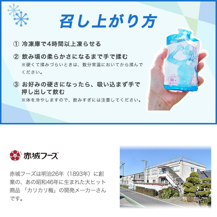 赤城フーズ 飲む氷 アイススラリー 2種8個セット 送料無料 梅味4個・塩レモン味4個 熱中症 予防 [M便 1/9]