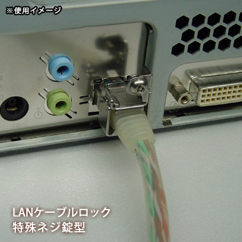 LANケーブル ロック 特殊ネジ錠型 LC-20A パソコン 盗難 誤切断 不正接続 防止[M便 1/4]